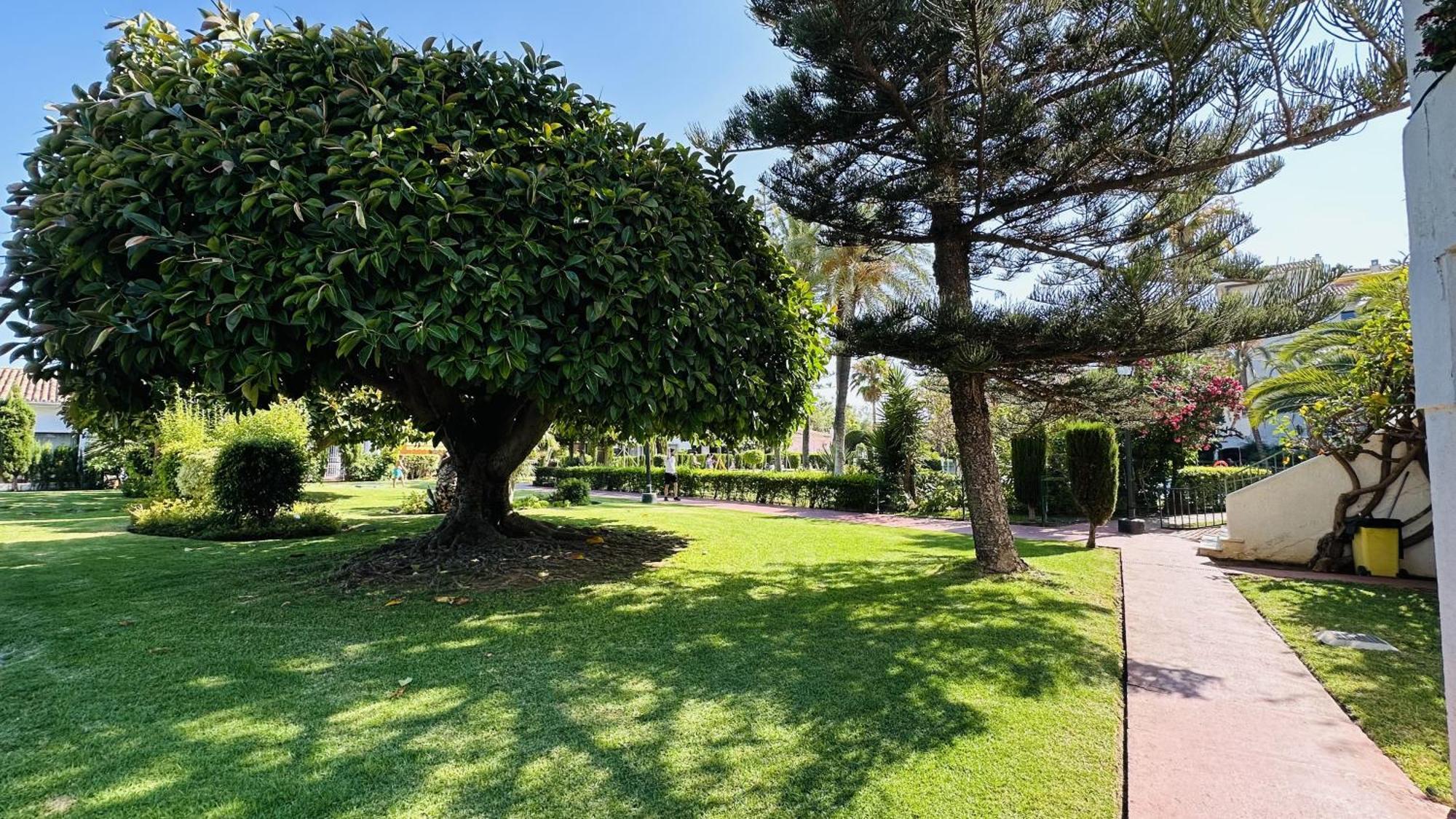 Marbella Studio Golden Mile Exterior photo